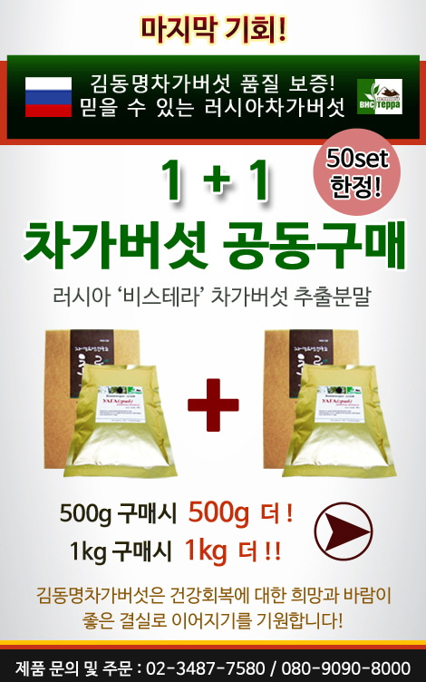 2015년 1+1 차가버섯 공동구매_김동명차가버섯.jpg